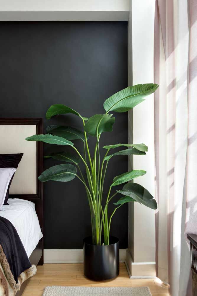 Decoração de Quarto com Plantas: Ideias Criativas