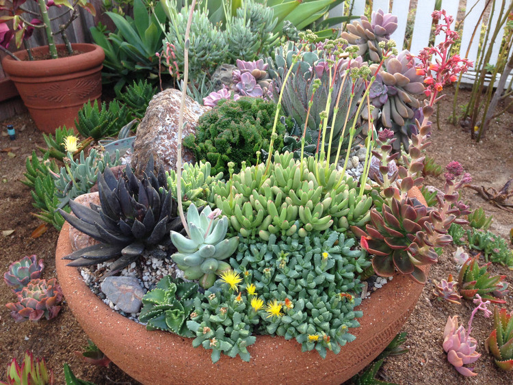 quanto custa montar um jardim de vasos para varanda