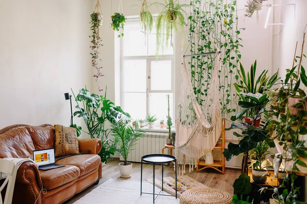 plantas para apartamento pequeno