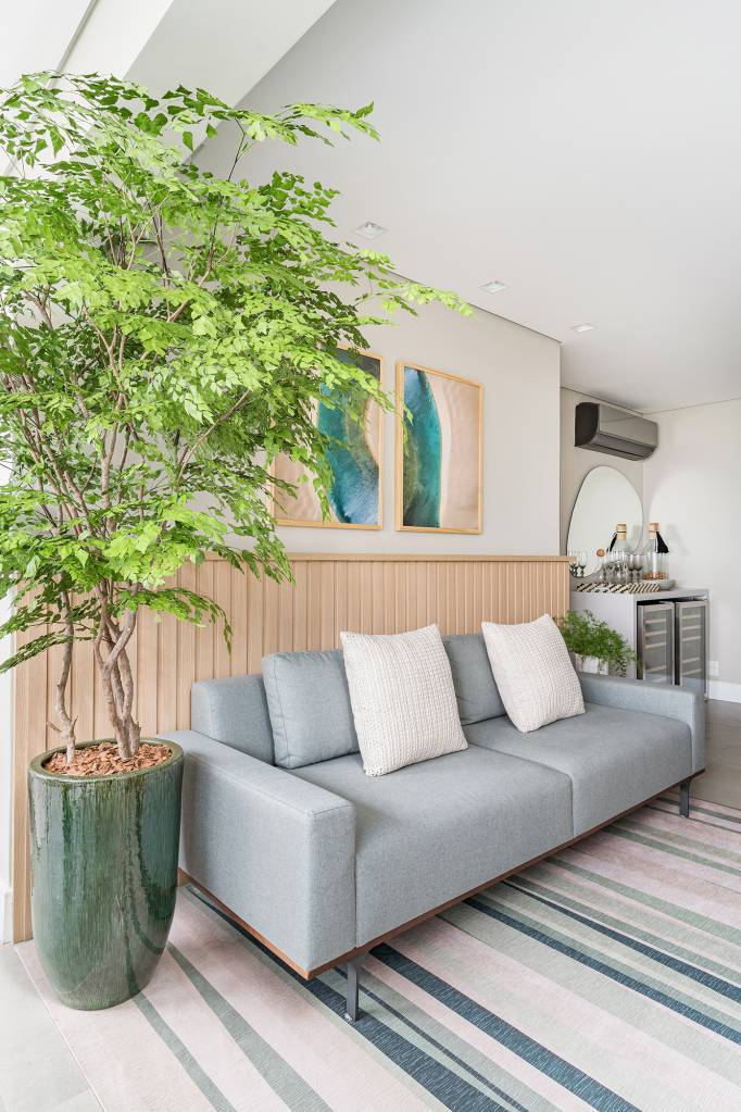 plantas para apartamento com pouca luz