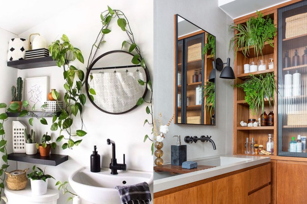 5 ideias de títulos:
1. As 5 Plantas Mais Resistentes para Banheiros Sem Janela
2. Transforme Seu Banheiro Sem Luz Natural com Estas Espécies
3. Guia Completo: Plantas Ideais para Banheiros Escuros e Úmidos
4. Cuidados Essenciais para Manter Plantas Saudáveis em Banheiros Sem Janela
5. Zamioculca