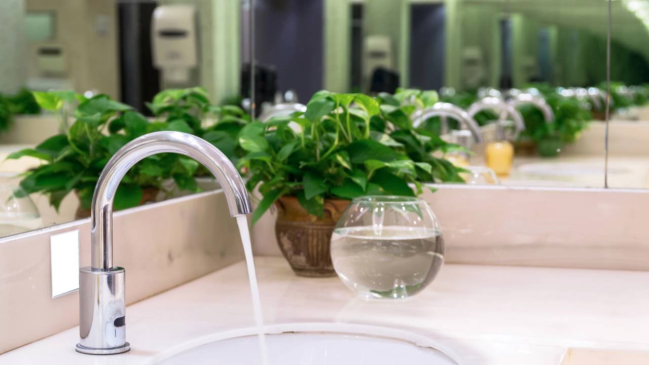 plantas para banheiro sem janela