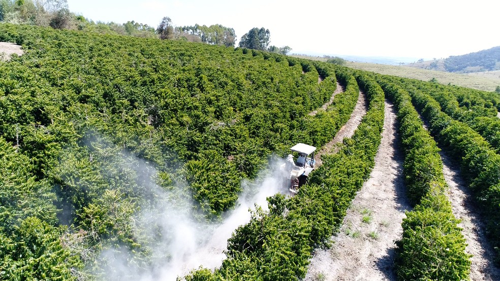 Guia Completo: Como Medir e Ajustar o pH do Solo para Suas Plantas Acidófilas