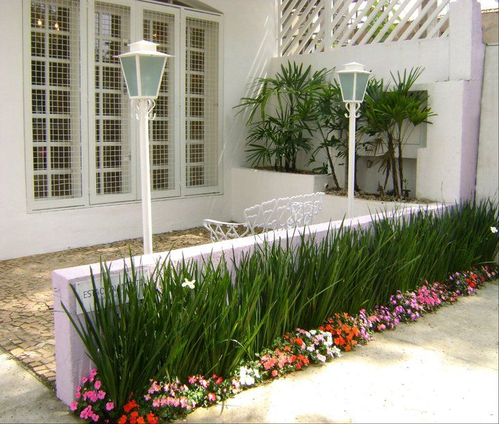 plantas para jardim externo com meia sombra