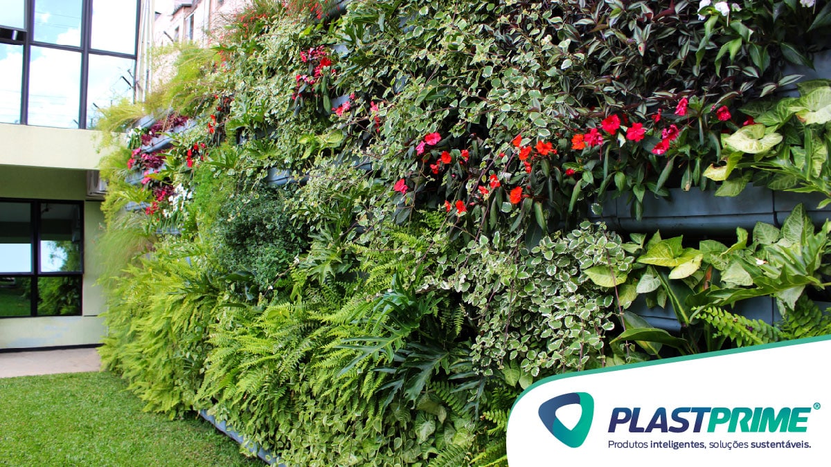plantas pendentes para jardim vertical