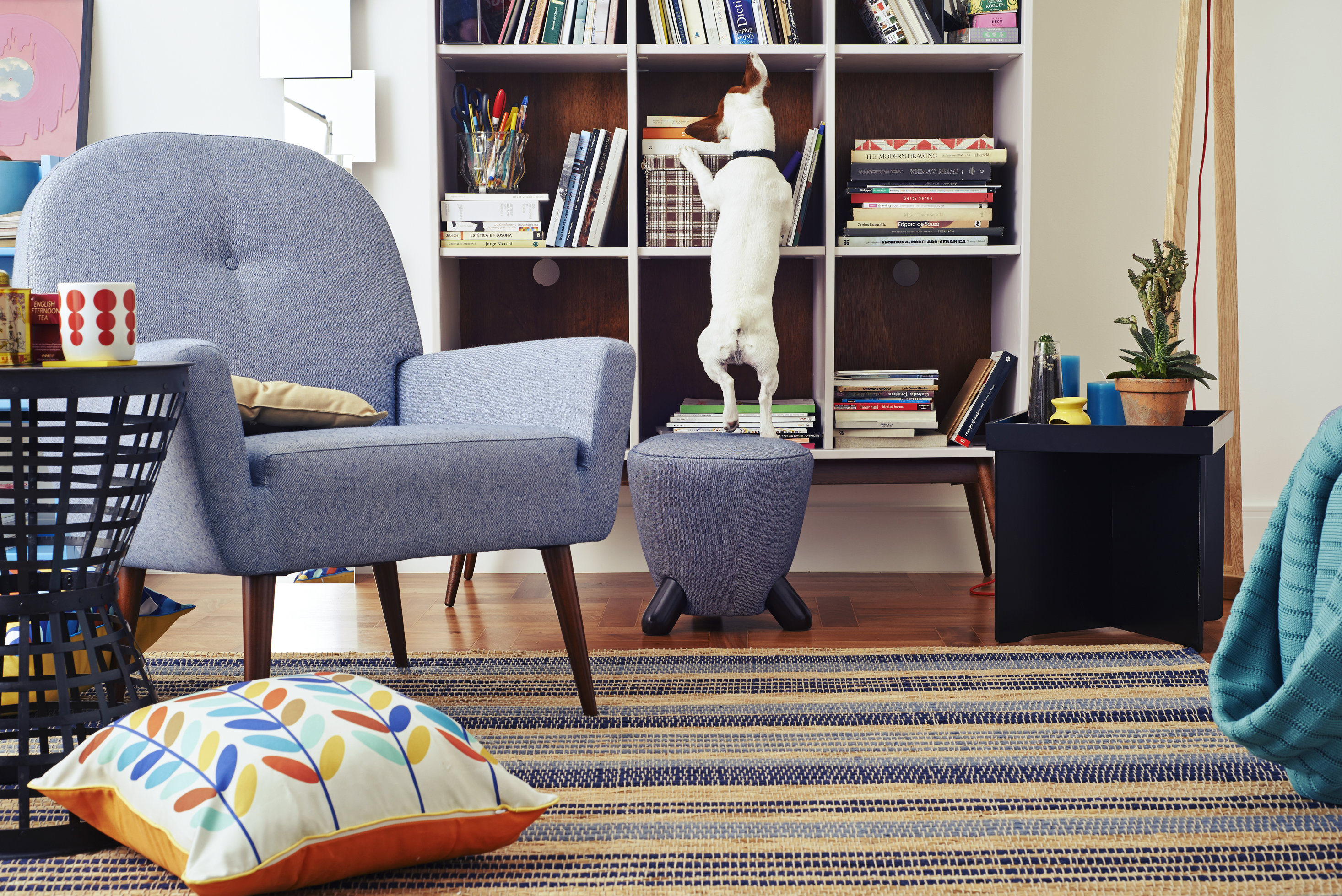 poltrona decorativa vs poltrona comum