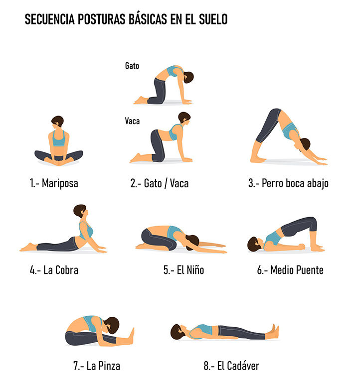 Como Melhorar a Flexibilidade com Asanas Sentados de Yoga