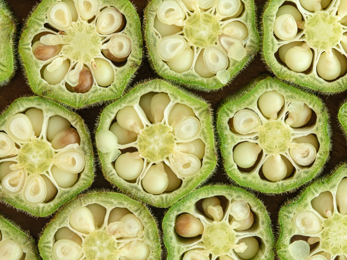 quiabo e diabetes mitos e verdades