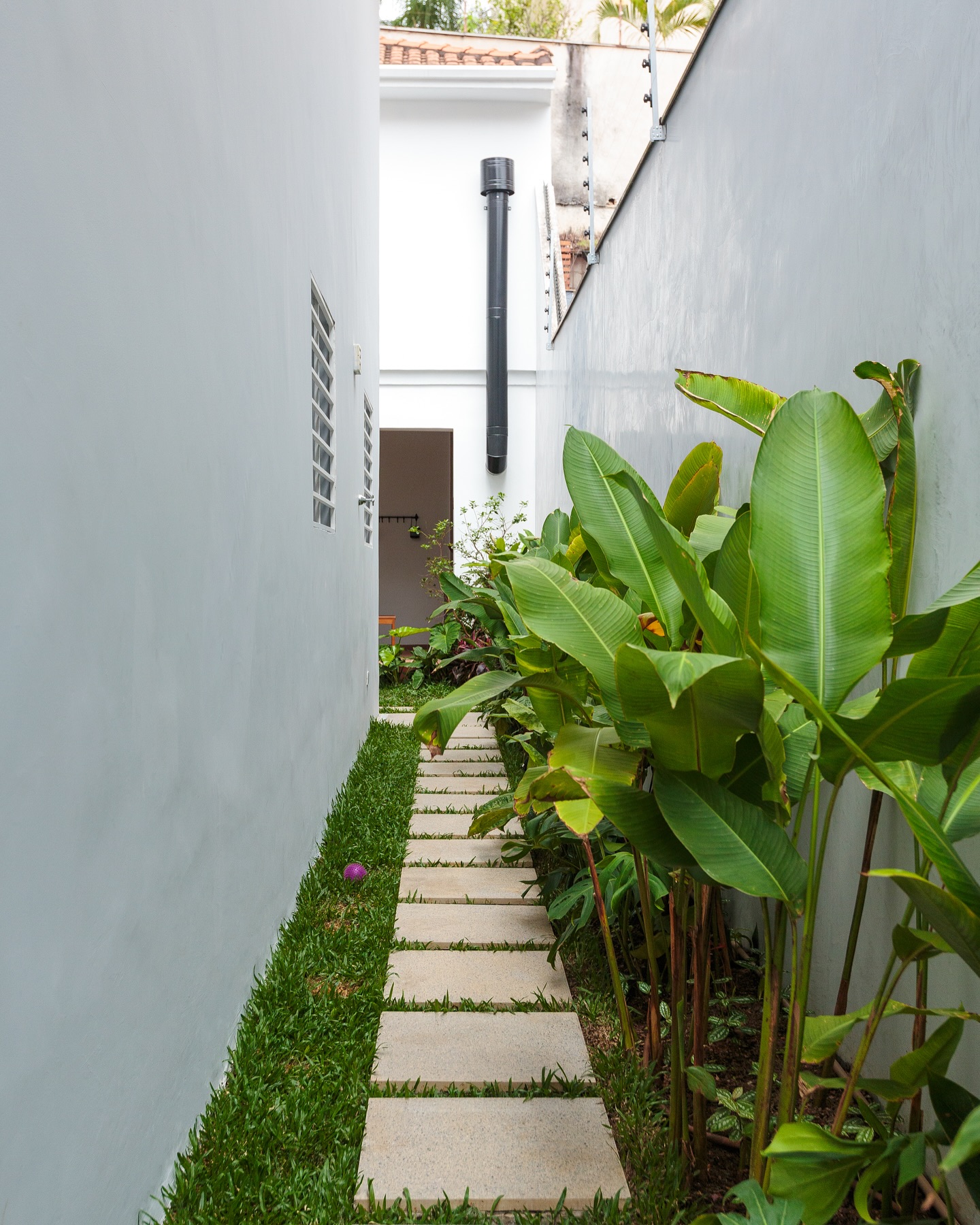 quintal simples vs quintal planejado