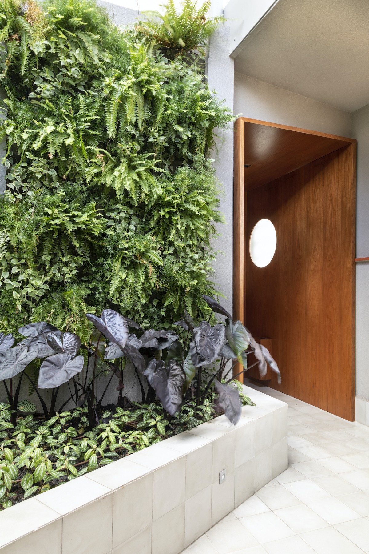 Guia Completo de Plantas para Jardim Vertical: Sol e Sombra