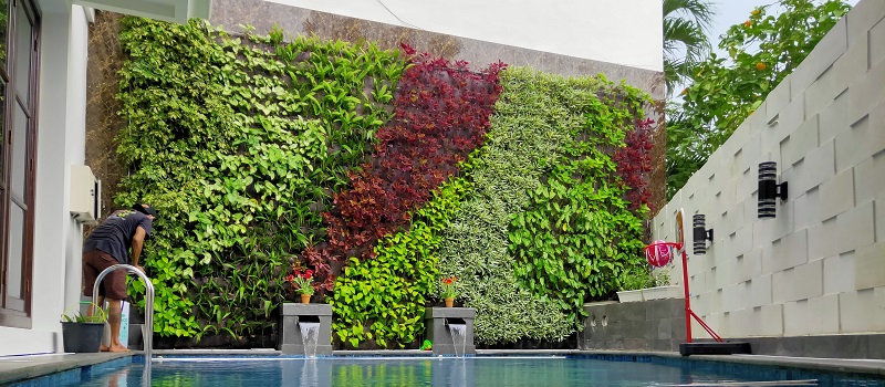 reforma de jardim vertical