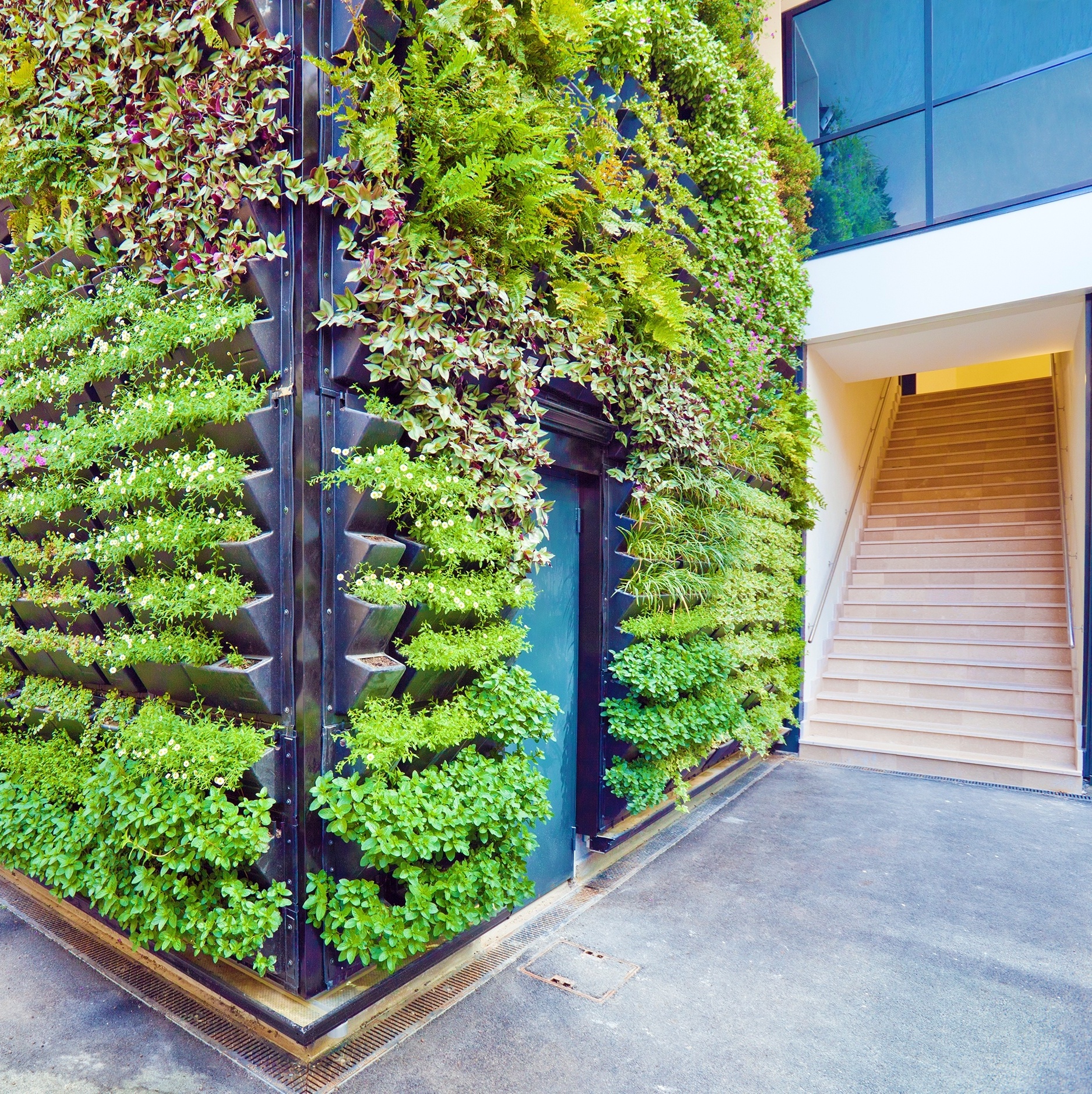 Como Evitar os Erros Mais Comuns na Manutenção do Seu Jardim Vertical