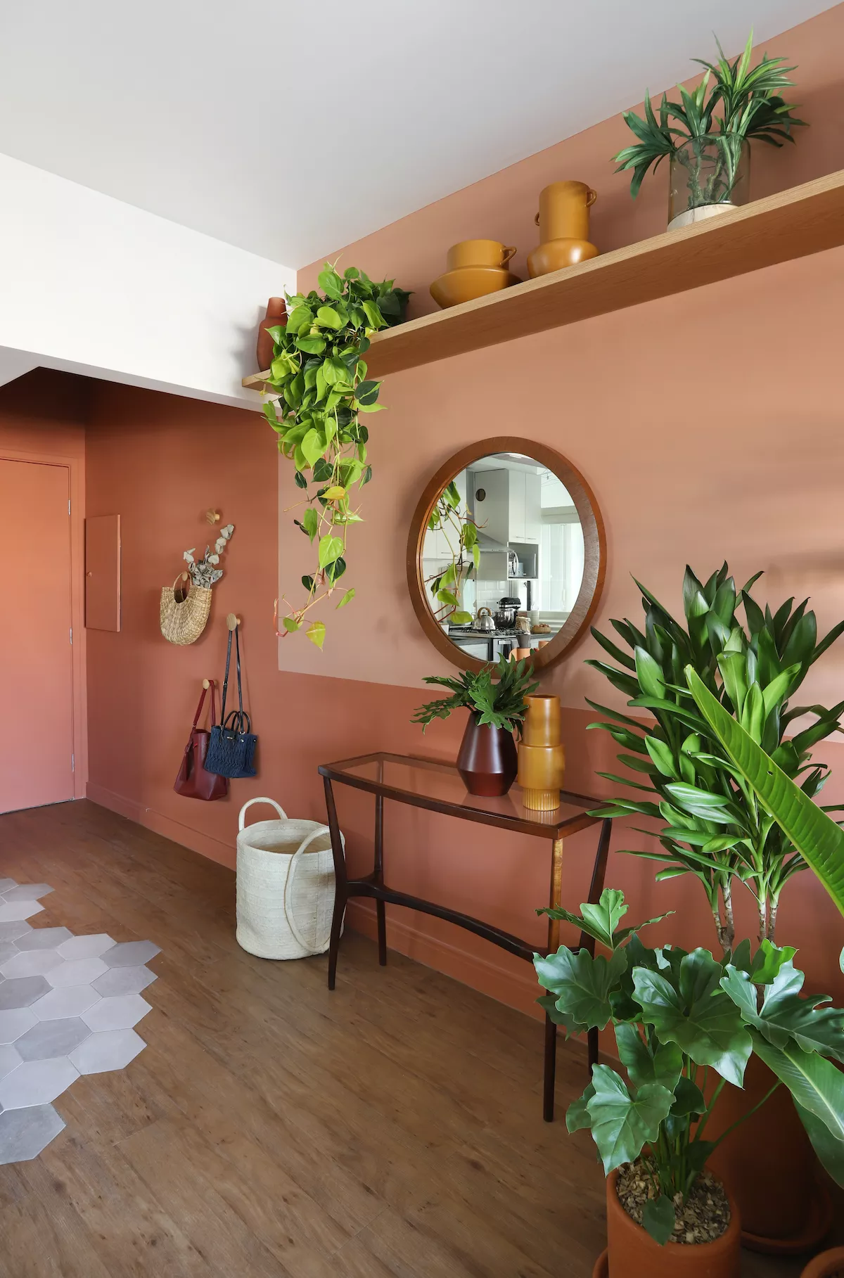 como cuidar de samambaia em jardim vertical