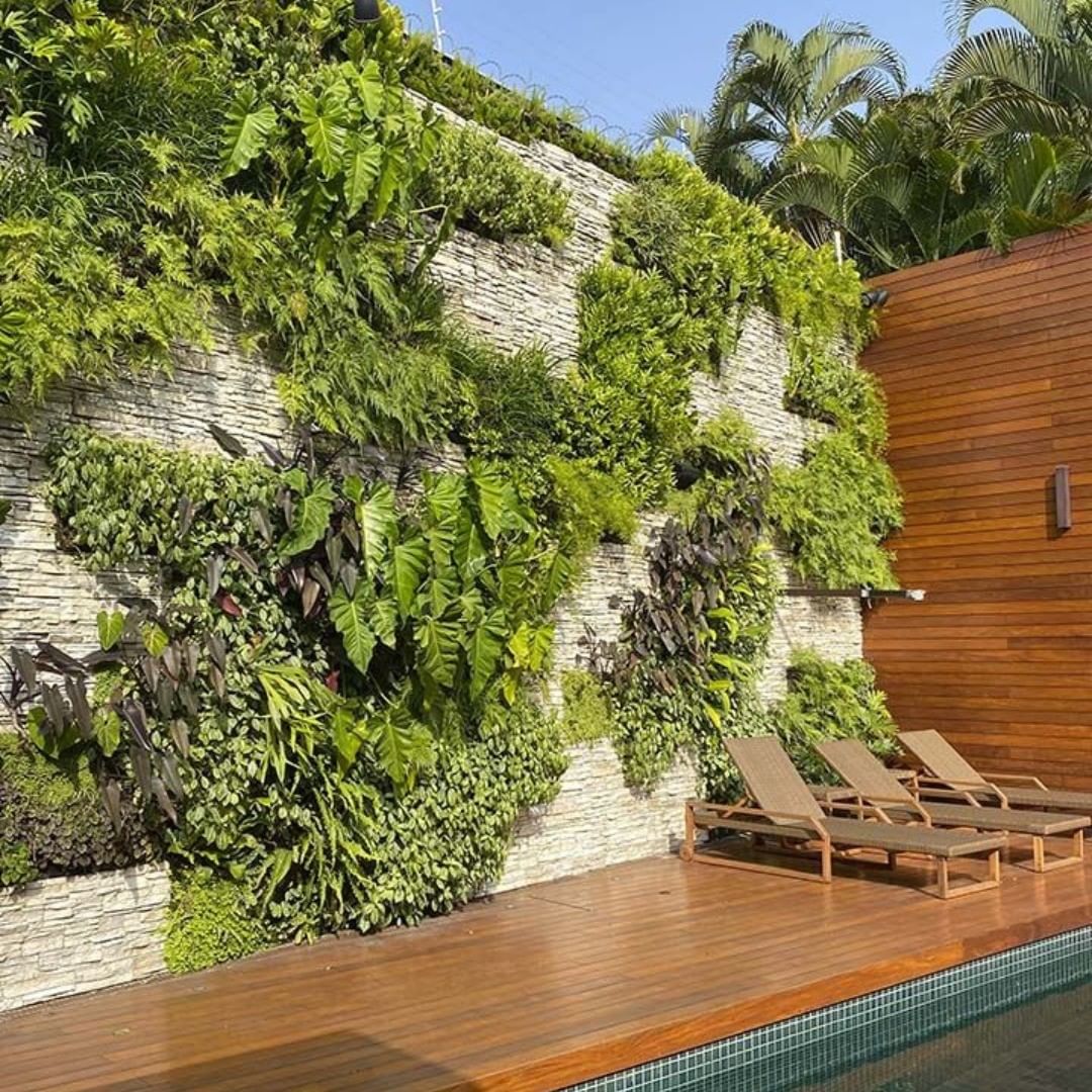 erros comuns ao montar jardim vertical interno