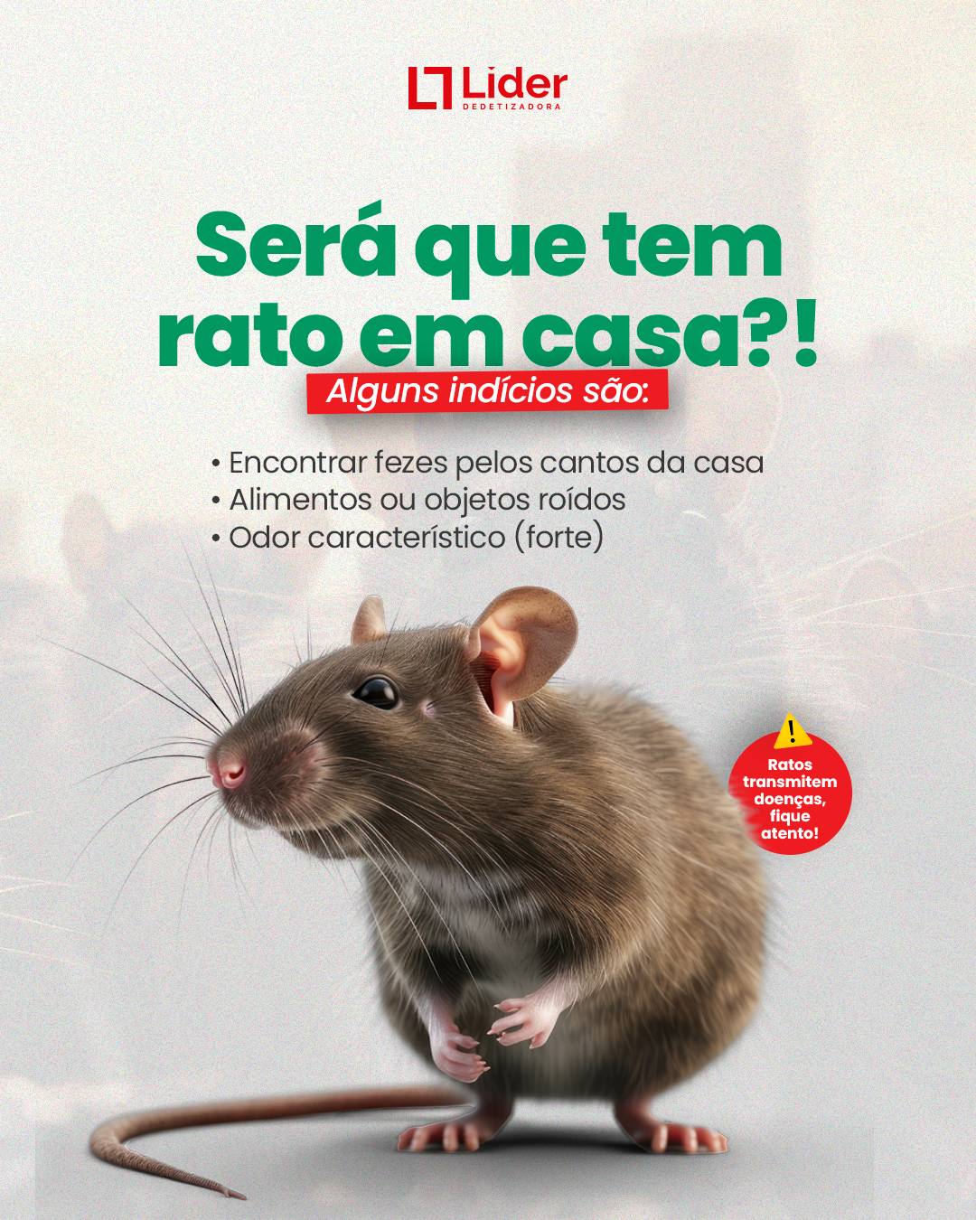 tem medo de rato olha os sinais do morador
