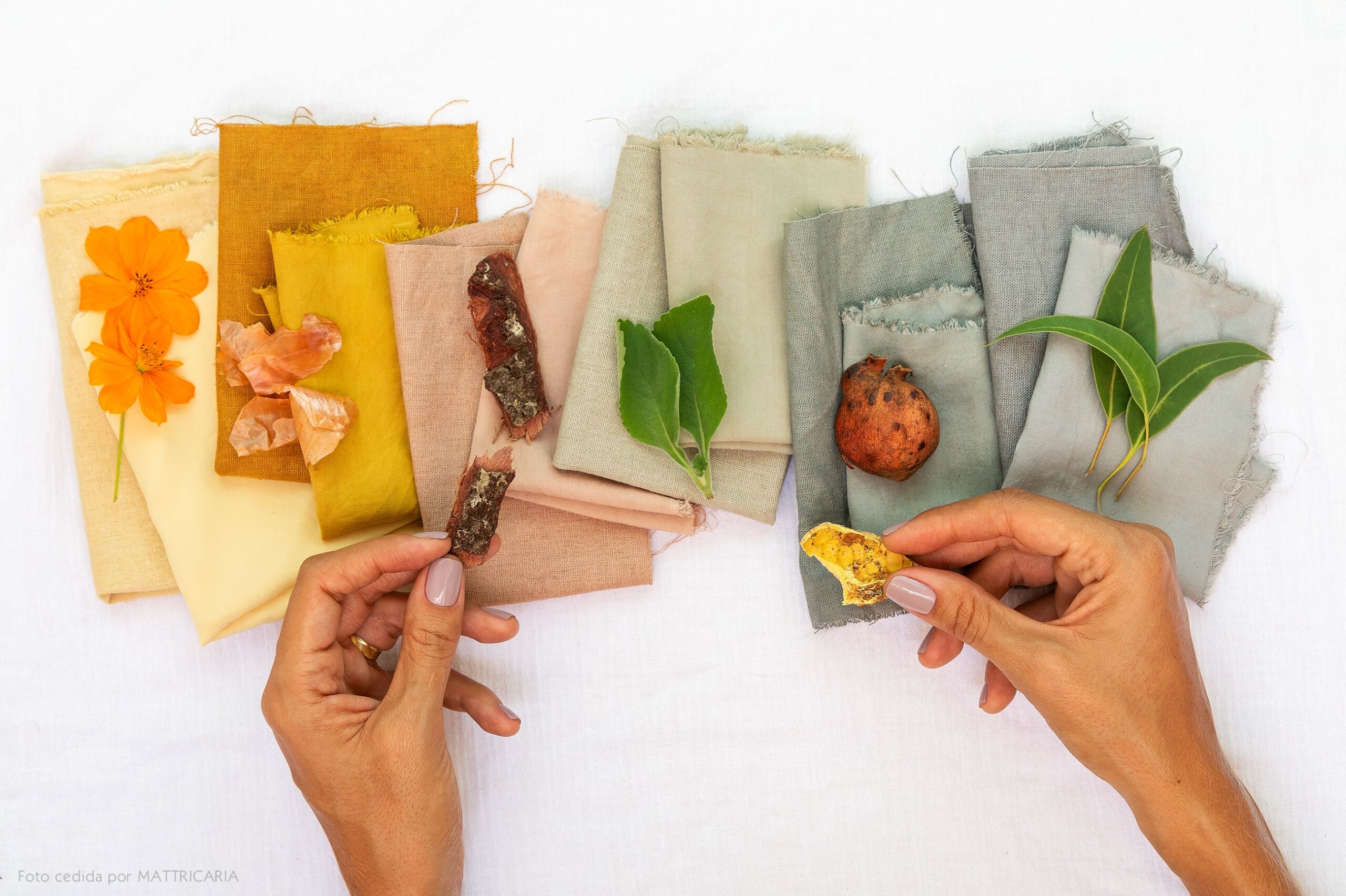 Como Fazer Mordentes Caseiros para Fixar Cores Naturais