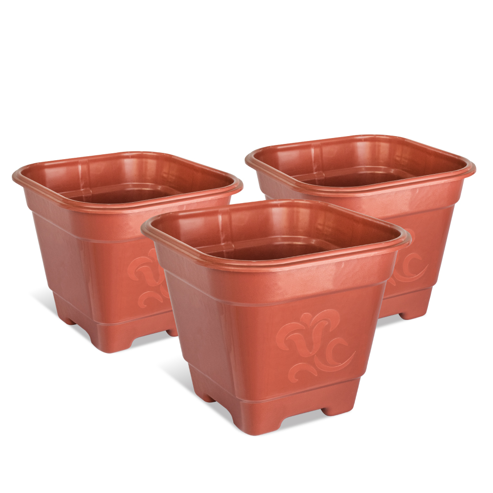 vasos de plástico para suculentas