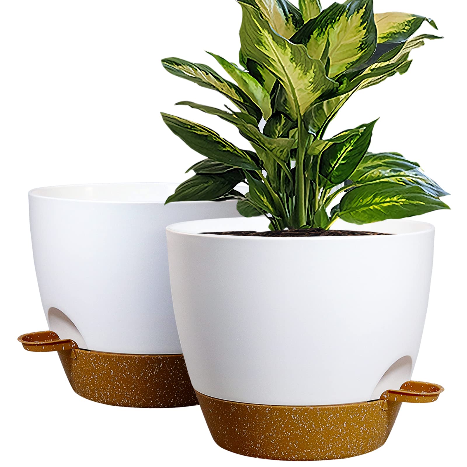 vasos de plástico para horta