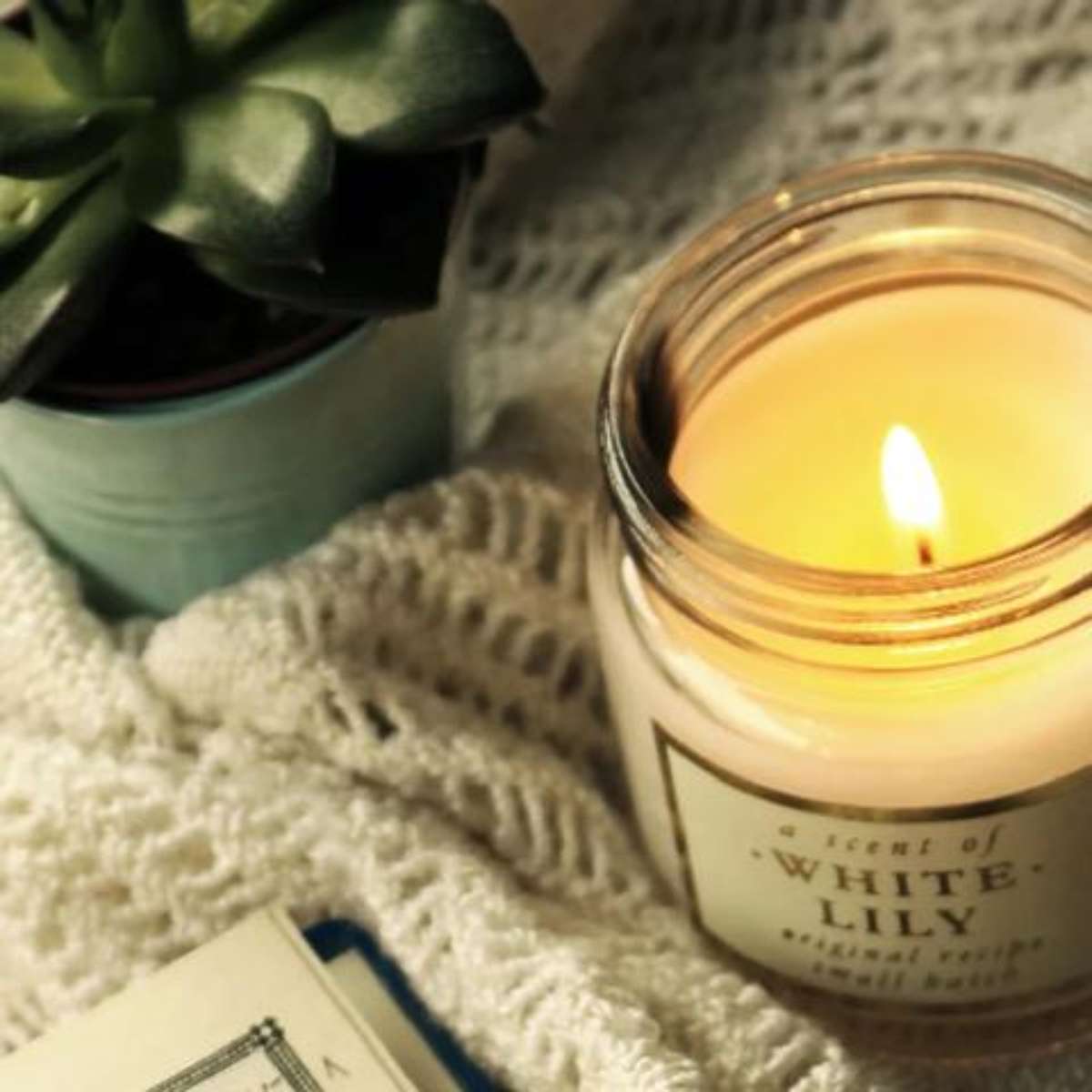 5 ideias de títulos:
1. Guia Completo: Como Escolher o Aroma Ideal de Vela para Cada Ambiente da Sua Casa
2. Velas Aromáticas: Descubra os Benefícios da Aromaterapia e Transforme Seu Lar
3. Cera Vegetal vs. Parafina: Qual a Melhor Escolha para Suas Velas Aromáticas?
4. Dicas Essenciais para uma Experiência Perfeita com Velas Aromáticas
5. Onde Encontrar Velas Aromáticas de Qualidade: Marcas e Lojas Recomendadas