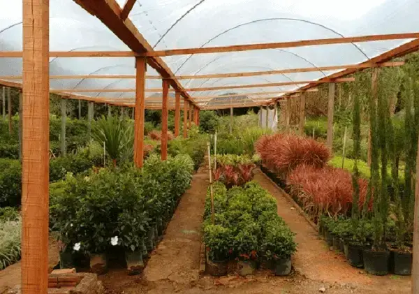 erros comuns ao planejar viagem viveiro