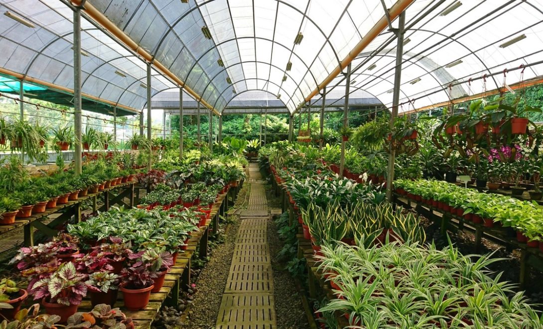 viveiro vs lugo qual cidade visitar