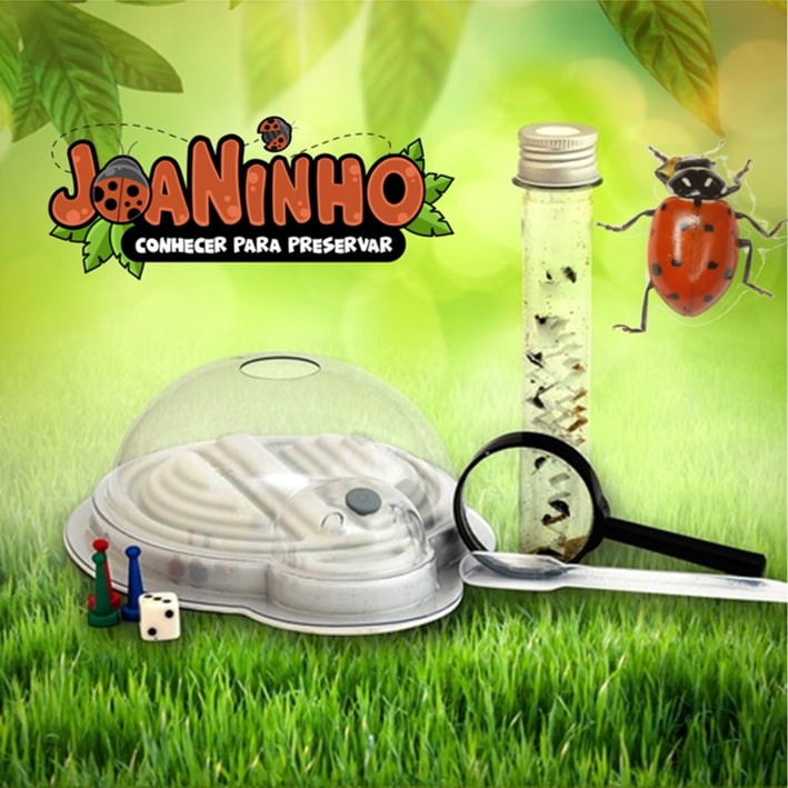 controle biológico de pragas com joaninhas