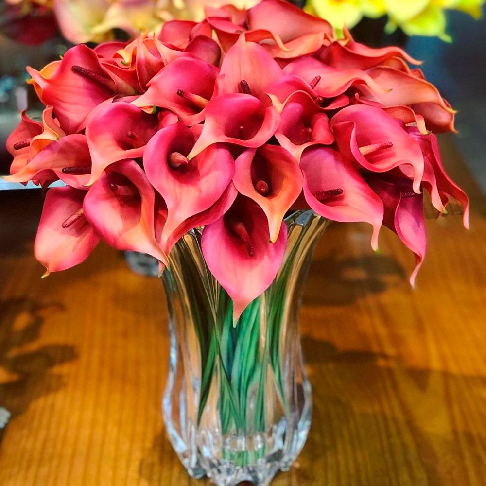 Zantedeschia vermelha