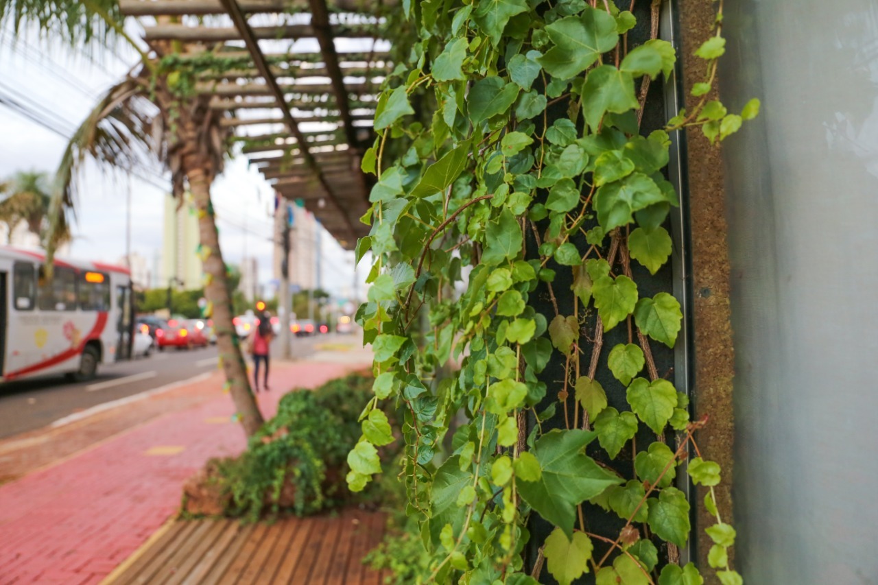 jardim vertical muro