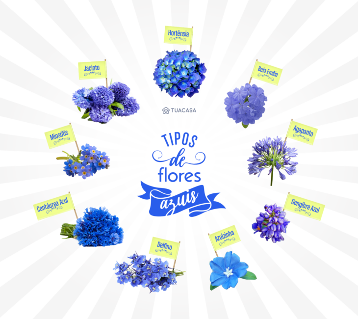 jardim com flores azuis