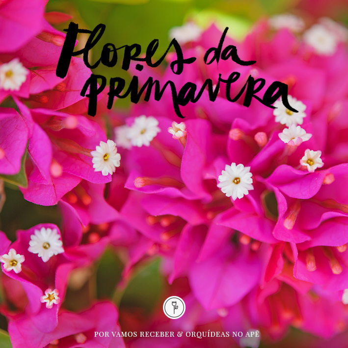 flores de abril