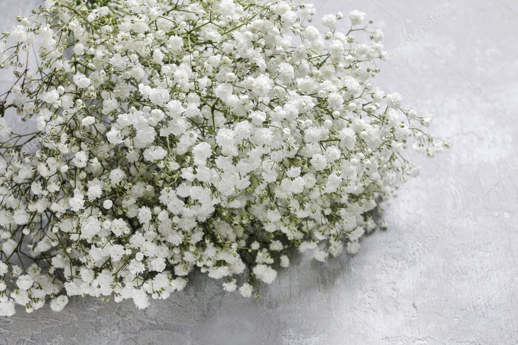 flores pequenas brancas