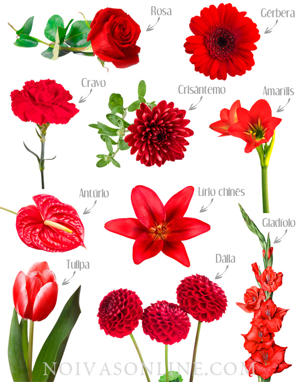 significado flores vermelhas