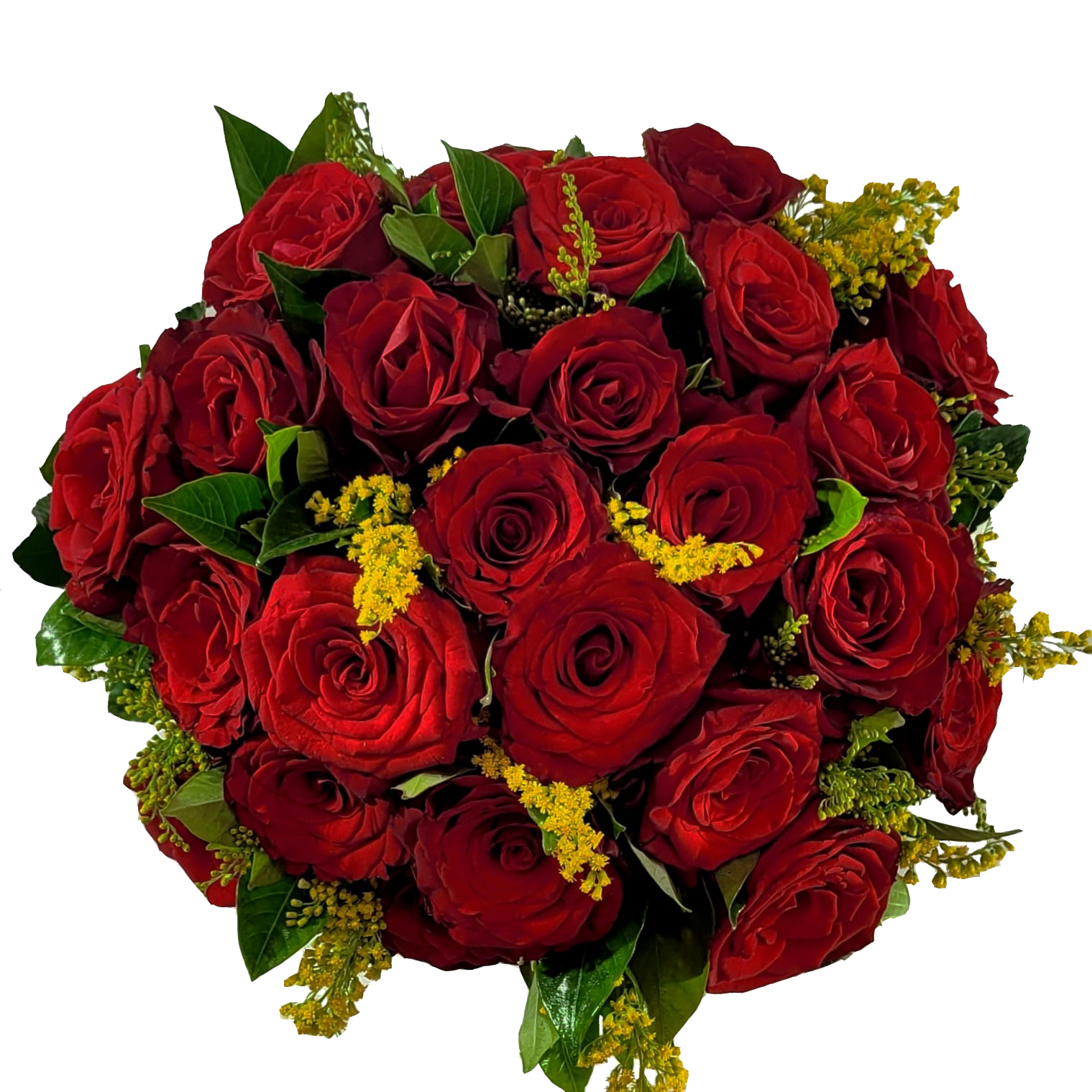 flores vermelhas sol pleno