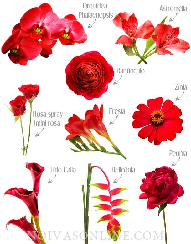 flores vermelhas para decoração