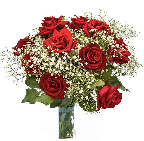 flores vermelhas meia sombra