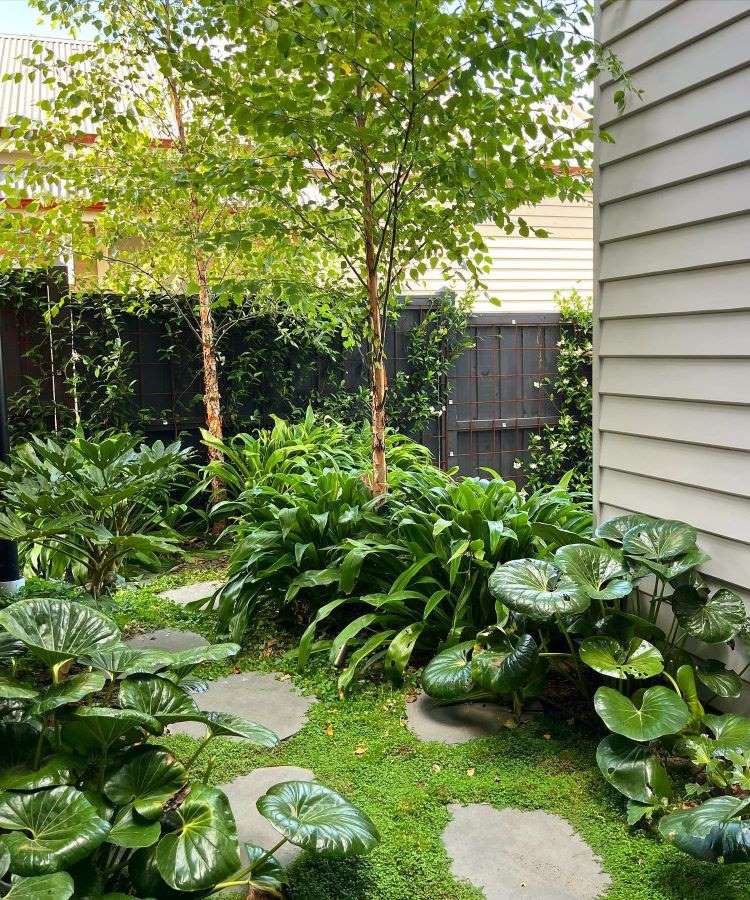 jardim vertical com folhagens