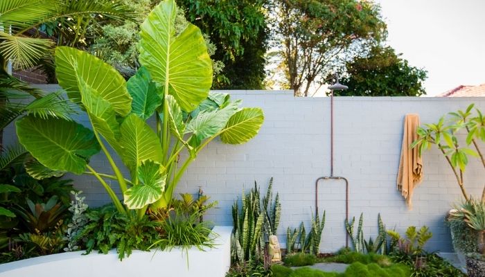 jardim vertical com folhagens