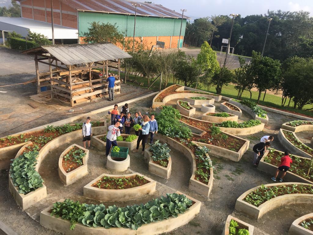 agricultura urbana solidária