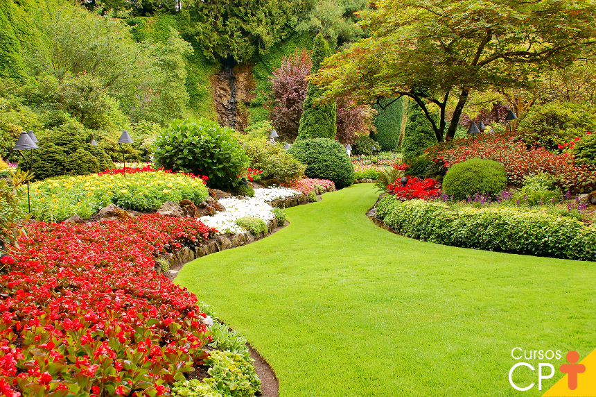 plantas de jardim resistentes ao sol
