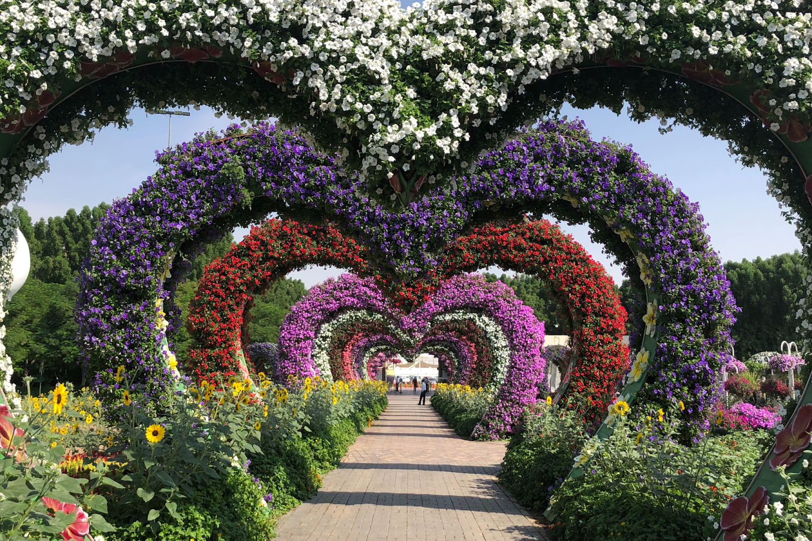 tipos de flores para jardim