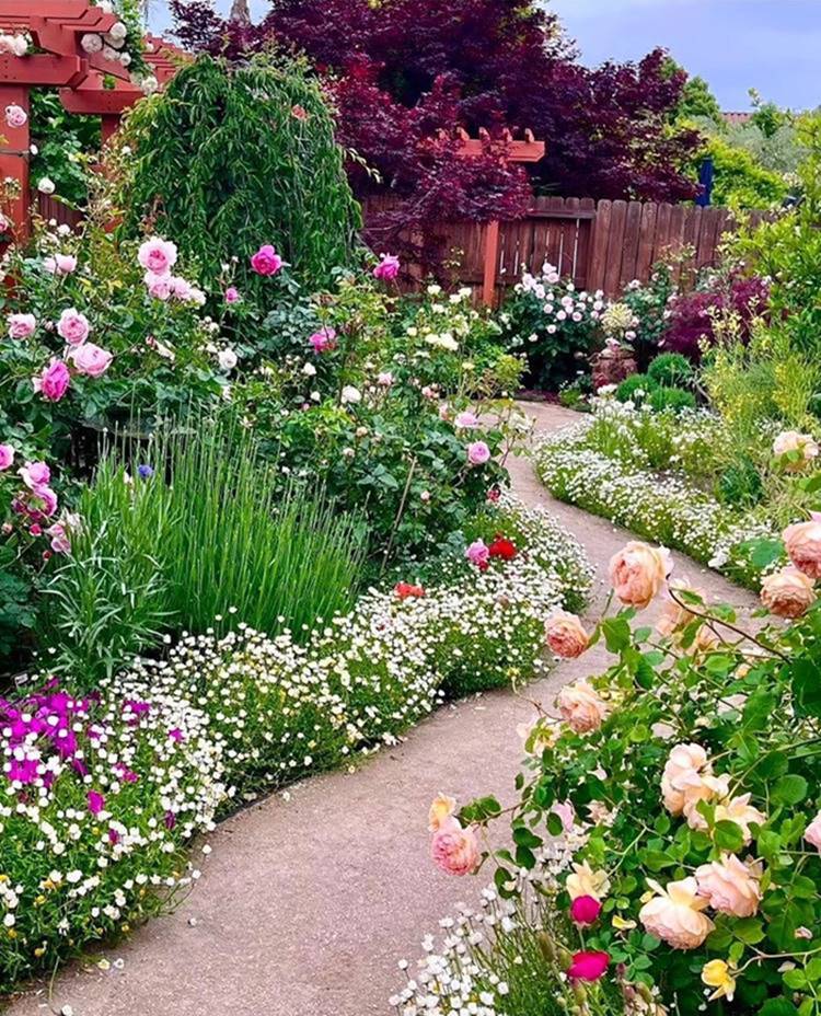 como fazer um jardim colorido