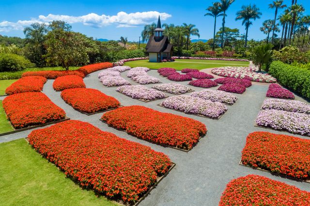 jardim florido o ano inteiro