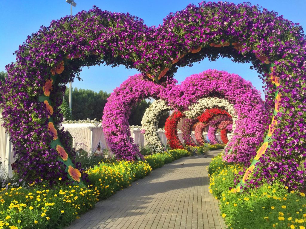 como fazer um jardim colorido