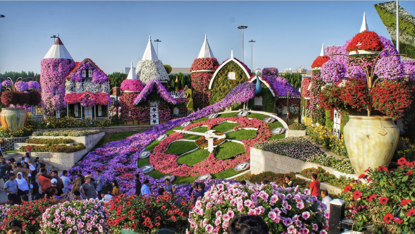 plantas nativas para jardim