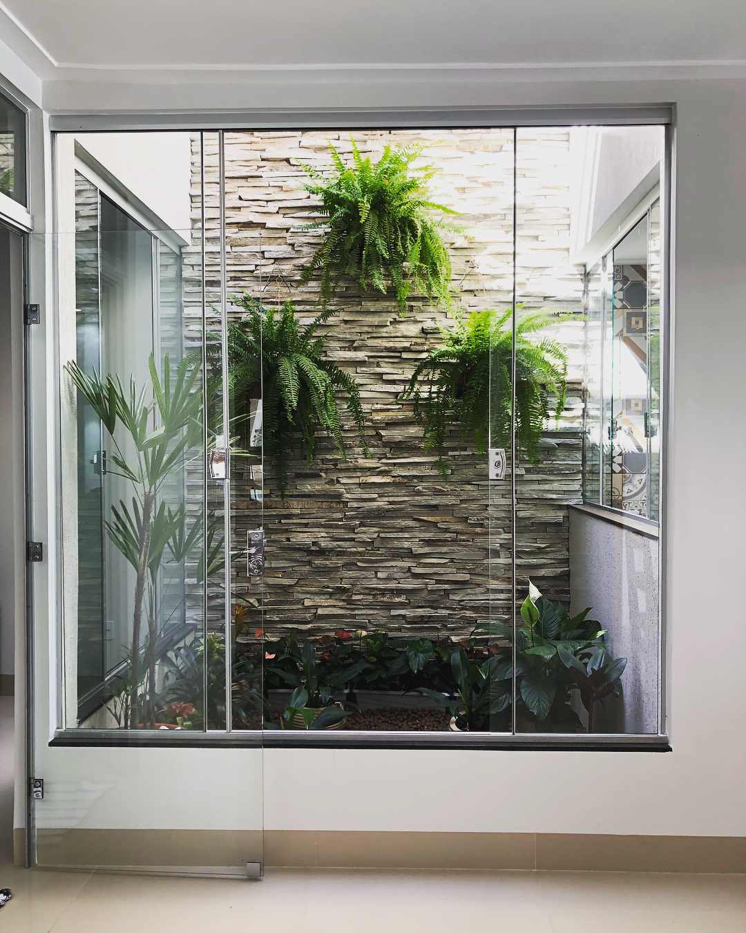 como cuidar de plantas em apartamento