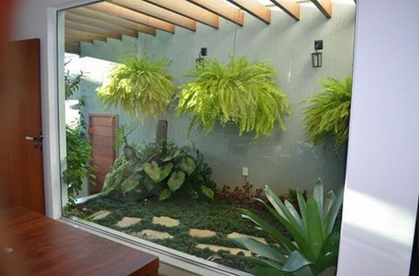 decoração com plantas