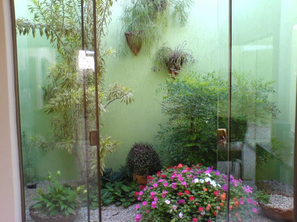 plantas fáceis de cuidar