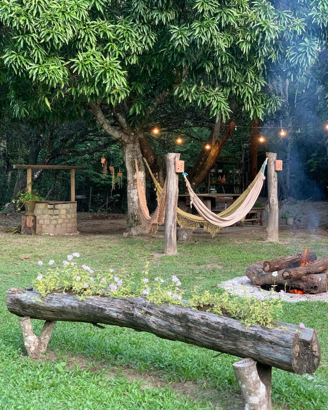 jardim de campo simples