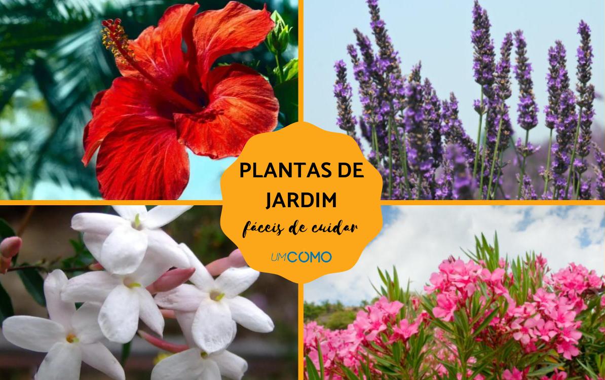 plantas com flores para jardim