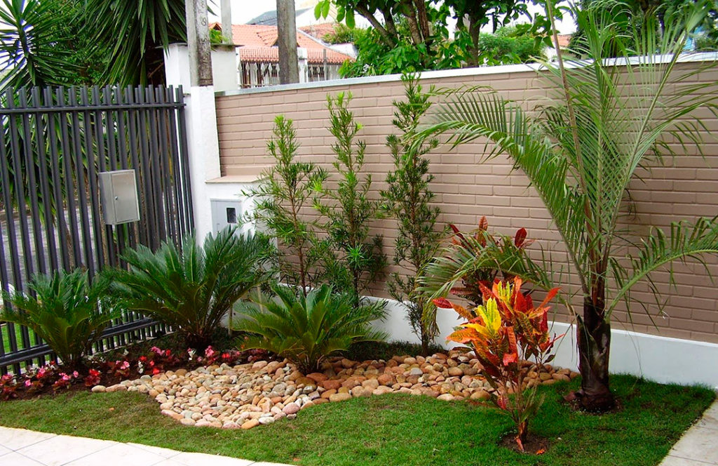 espécies de plantas para paisagismo